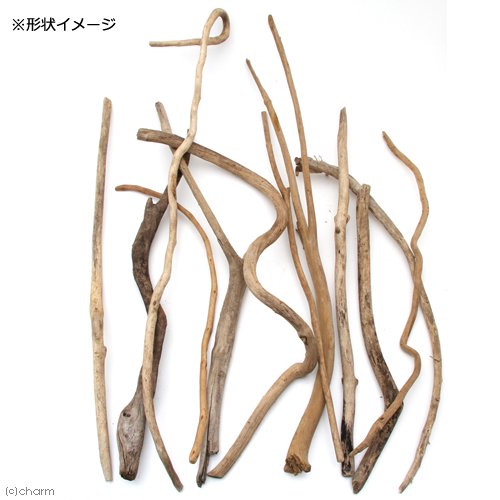 形状お任せ　棒状流木　ロング（長さ１００ｃｍ以上）　５本セット　ＤＩＹ素材　ＣＲＣ21―10―99―00―00