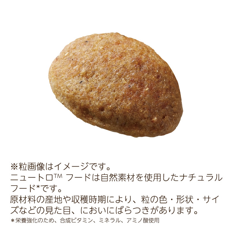 シュプレモ 全犬種 体重管理用 7.5kgx2袋セット NS131 期限26/07/31以降 シュプレモ 全犬種 体重管理用 7.5kgx2袋セット NS131 期限26/07/31以降