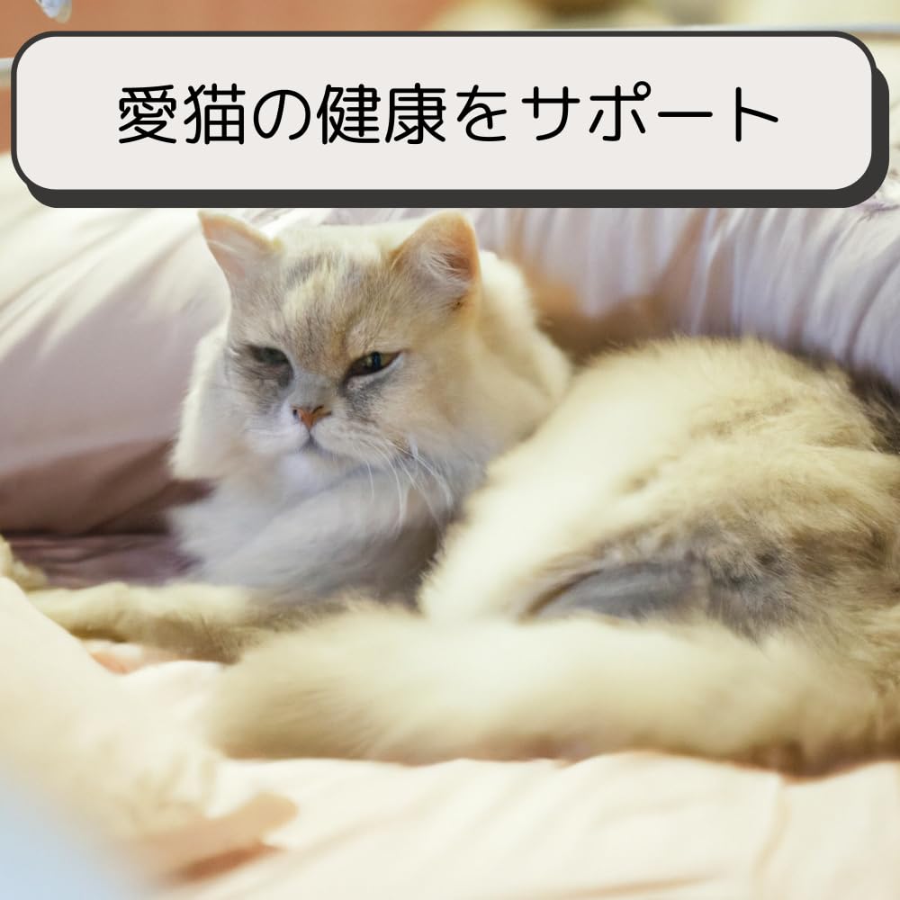 ロイヤルカナン 猫 キャットフード ユリナリー S/O ライト 2kg 尿路疾患 療法食 ドライ ネコ 肥満 (2kg, ライト)