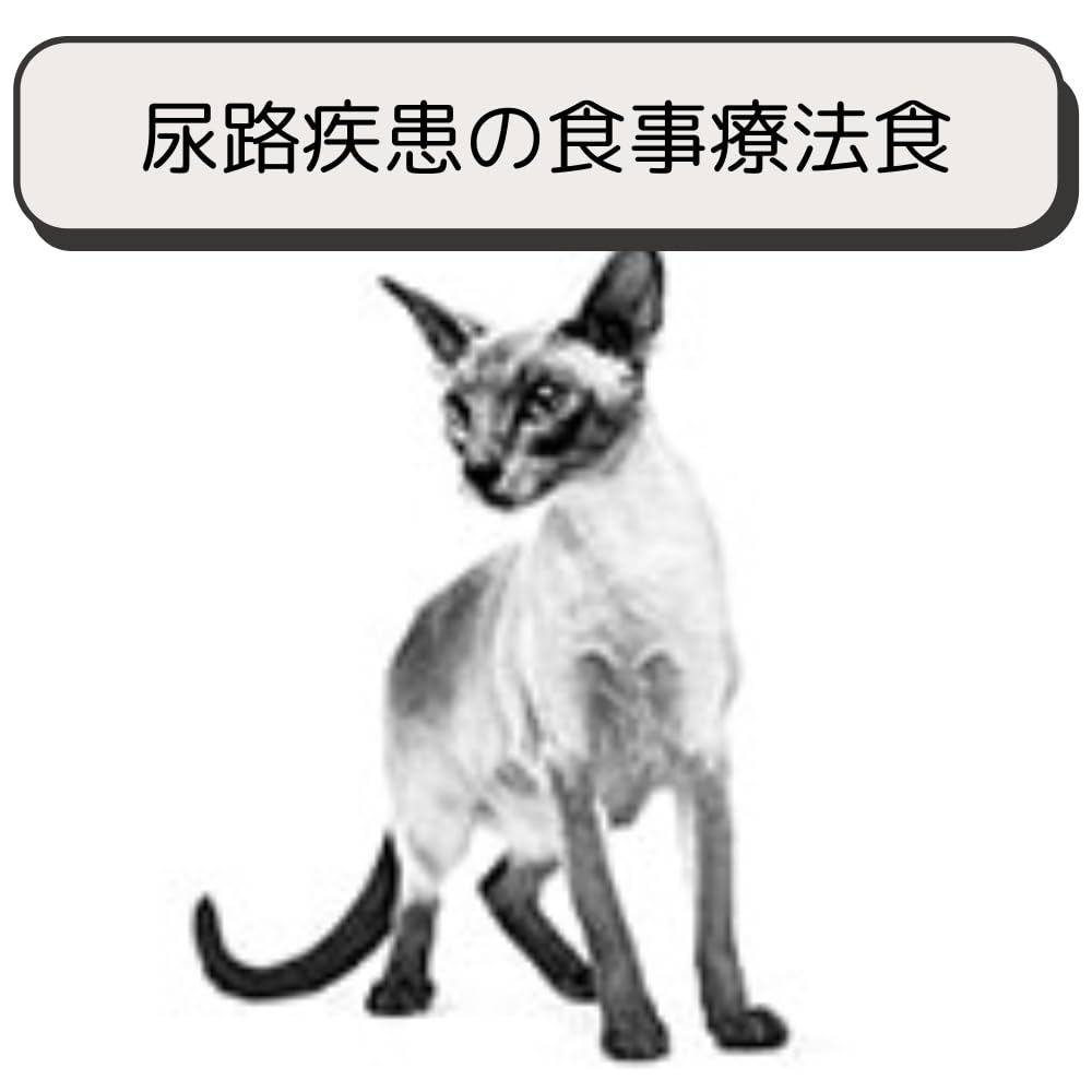 ロイヤルカナン 猫 キャットフード ユリナリー S/O ライト 2kg 尿路疾患 療法食 ドライ ネコ 肥満 (2kg, ライト)