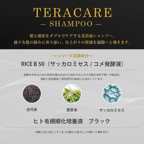 ケアネス　テラケアシャンプー1000mlトリートメント1000g ケアネス テラケアシャンプー 1000ml 業務用 | G SELECT ガモウ