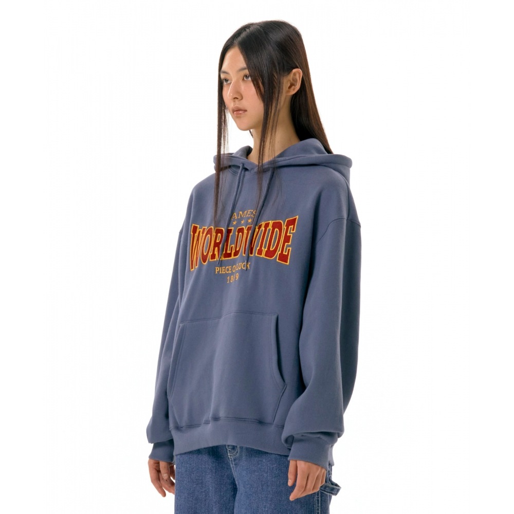 エイムズワールドワイドワールドワイドフーディーネイビー エイムズワールドワイドワールドワイドフーディーネイビー