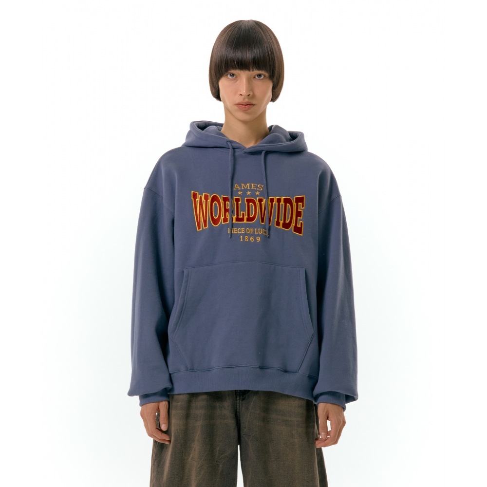 エイムズワールドワイドワールドワイドフーディーネイビー エイムズワールドワイドワールドワイドフーディーネイビー