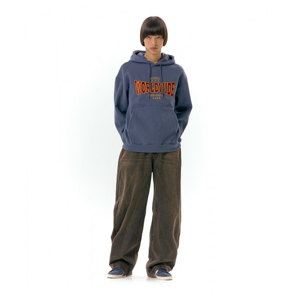 エイムズワールドワイドワールドワイドフーディーネイビー エイムズワールドワイドワールドワイドフーディーネイビー