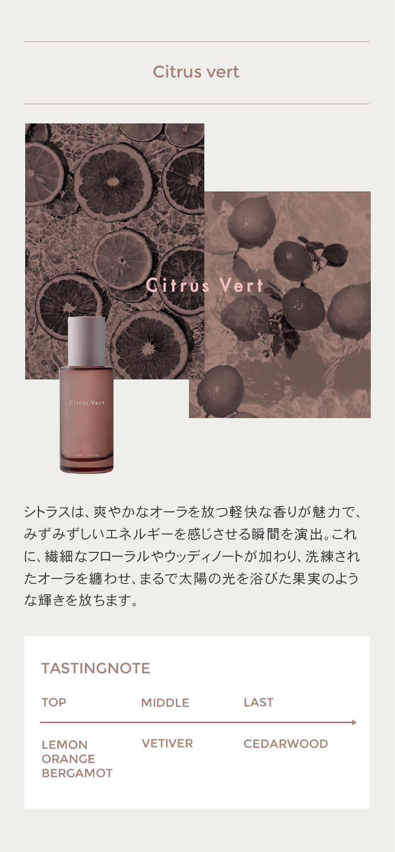 LOA THE OIL CARE ロア ザ オイル ケア 100ml ブランシュ/シトラスベール/ジャスミンドレ/ラテローズ/ブルークレール/ペアーブランシュ/ノワール ヘアオイル 洗い流さない LOA THE OIL CARE ロア ザ オイル ケア 100ml ブランシュ/シトラスベール/ジャスミンドレ/ラテローズ/ブルークレール/ペアーブランシュ/ノワール ヘアオイル 洗い流さない