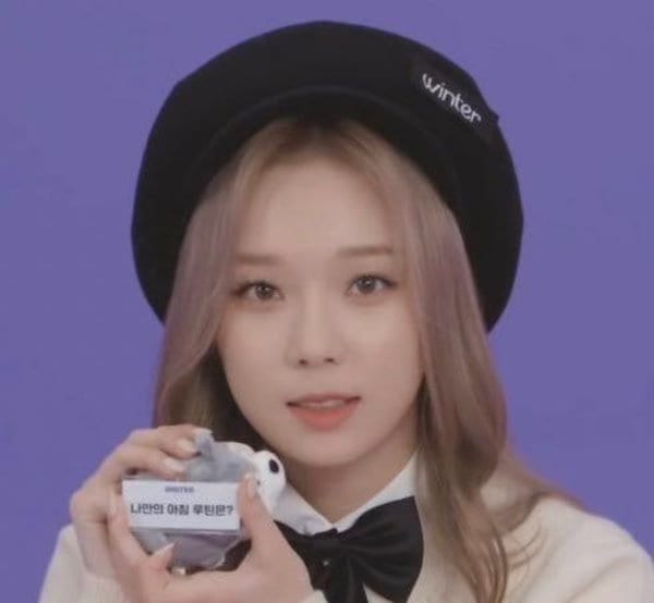 Qoo10] Aespa ウィンター マスター ぬいぐ