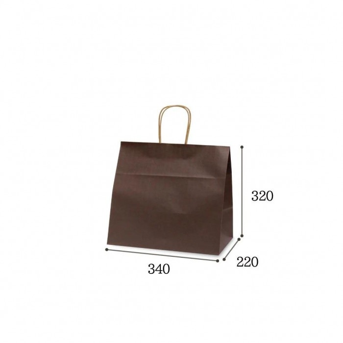 自動紐手提袋 T-11W カラー(カカオ) 1193 50枚 自動紐手提袋 T-11W カラー(カカオ) 1193 50枚