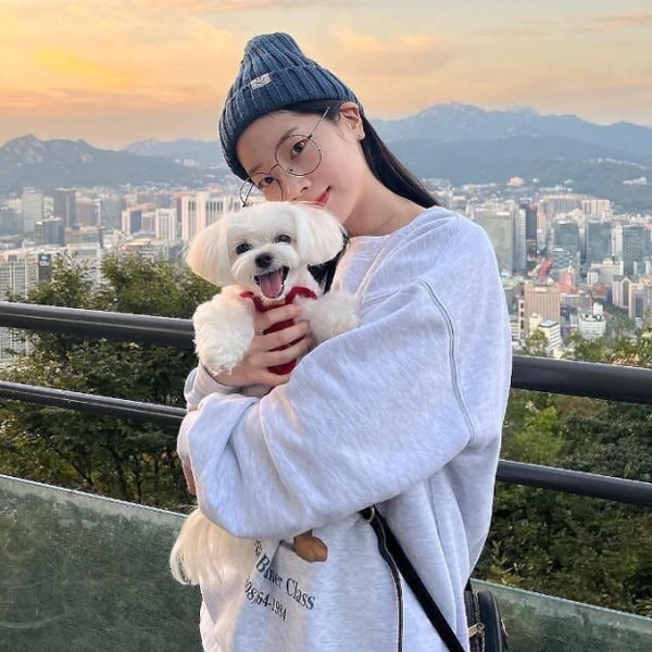 カワセミさん専用(ダヒョン3枚+ナヨン3枚+ジヒョ3枚) カワセミさん専用(ダヒョン3枚+ナヨン3枚+ジヒョ3枚) ダヒョン