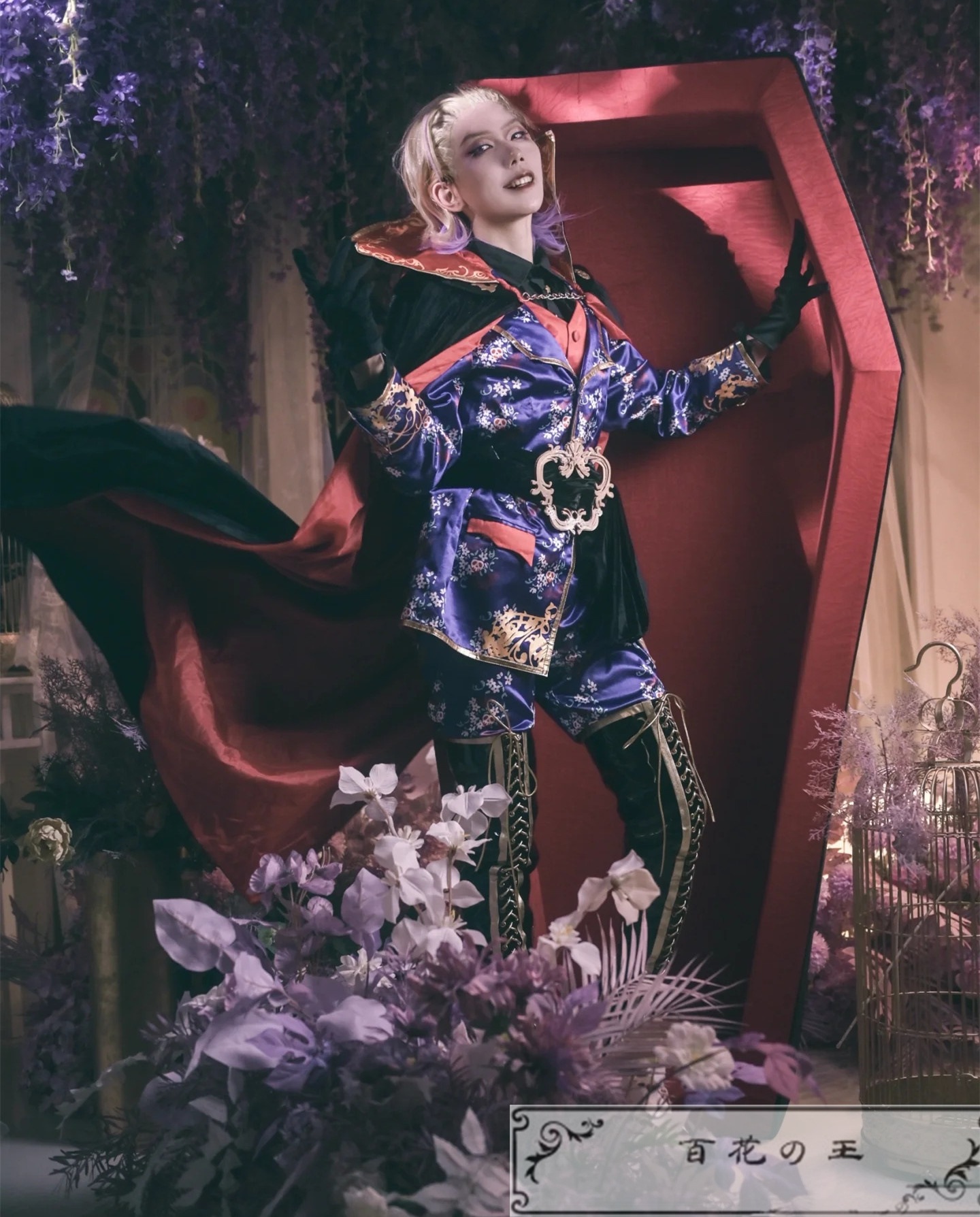 ツイステ スケアリーモンスターズ ヴィル Vil ハロウィン コスプレ衣装