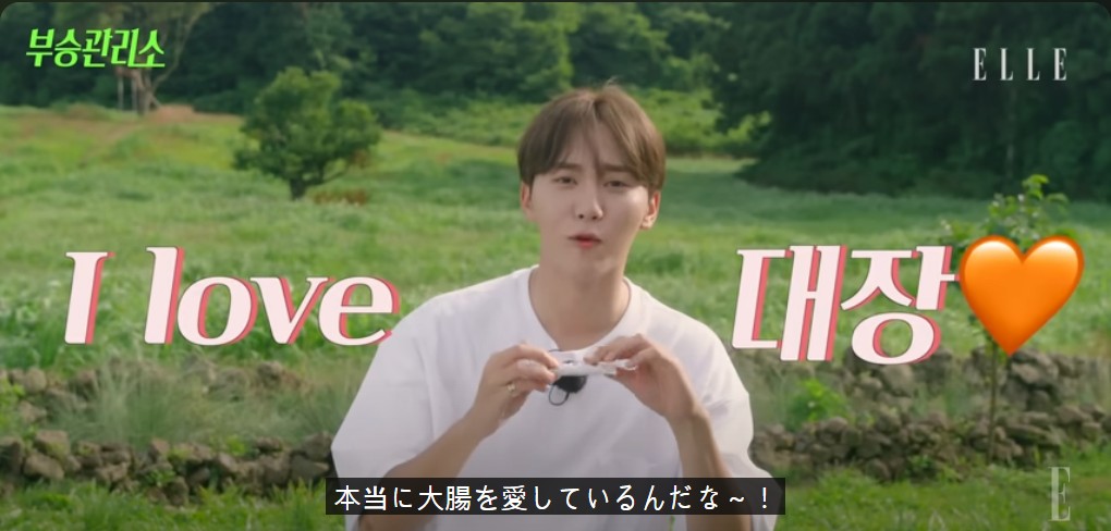 [seventeen nanatour広告] ブスングァン愛用 / ブスングァン愛用 隊長愛 オリジナル 遮電磁避丸 3箱 90包 /+seventeen photo card/ 快便秘訣 /