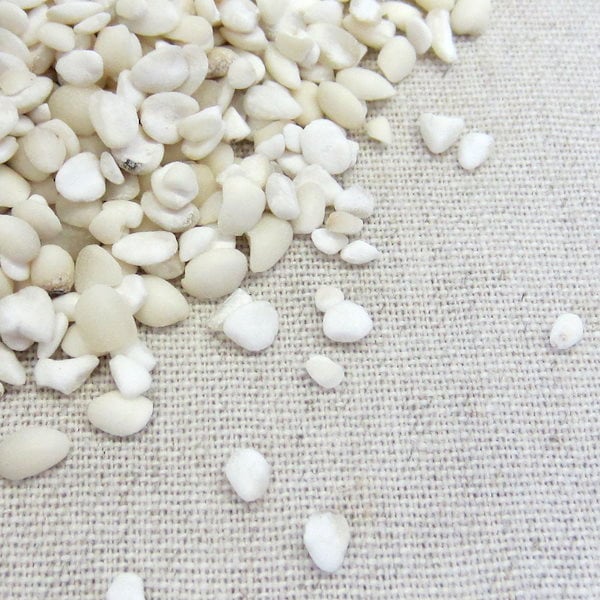 はと麦(ハトムギ) 1kg×10 岩手県産 チャック有り 倉庫直送