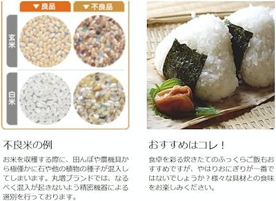 令和2年度 埼玉県産 新米コシヒカリ 玄米30kg 精米27kg 精米料込み 01