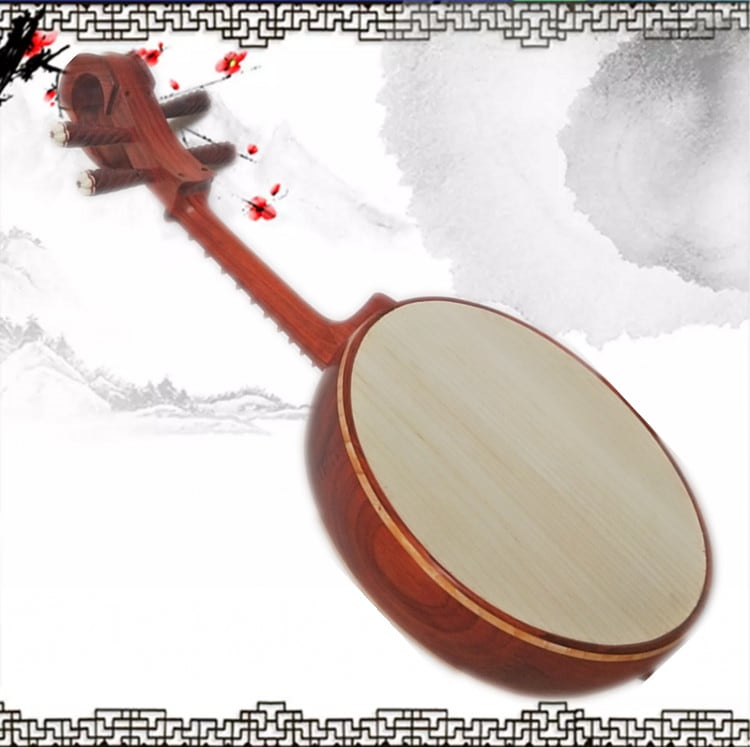 中型 阮 プロの演奏 中国の弦楽器 中型 阮 プロの演奏 中国の弦楽器