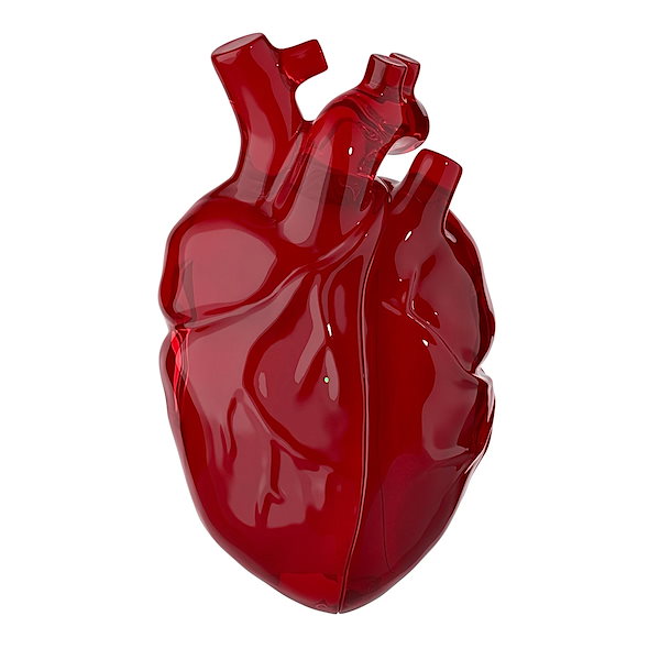 心臓のケース Amazon.com: Heart-Shaped Liquid Silicone Protective Case for