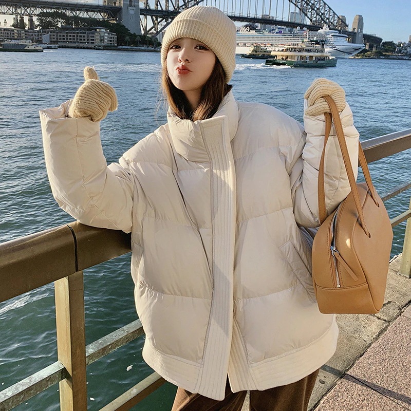 カレッジスタイルショートセクションスタンドアップカラーダウン