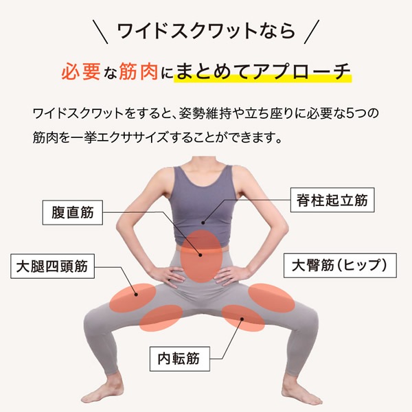 ワイドスクワットホッパー (送料無料) スクワット 筋トレ エクササイズ クッション 運動 ダイエット 開脚 ストレッチ ウエスト 下半身 お尻 裏もも 内もも 美姿勢 ワイドスクワットホッパー (送料無料) スクワット 筋トレ エクササイズ クッション 運動 ダイエット 開脚 ストレッチ ウエスト 下半身 お尻 裏もも 内もも 美姿勢