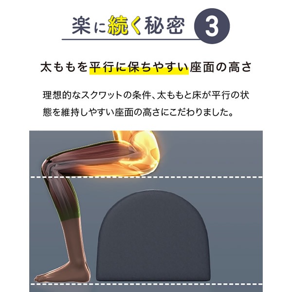 ワイドスクワットホッパー (送料無料) スクワット 筋トレ エクササイズ クッション 運動 ダイエット 開脚 ストレッチ ウエスト 下半身 お尻 裏もも 内もも 美姿勢 ワイドスクワットホッパー (送料無料) スクワット 筋トレ エクササイズ クッション 運動 ダイエット 開脚 ストレッチ ウエスト 下半身 お尻 裏もも 内もも 美姿勢