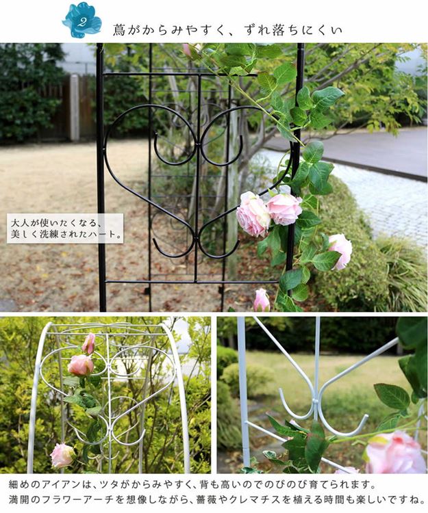 ガーデンアーチ アイアンアーチ バラ 薔薇 蔓性植物 おしゃれ エレガント ブロッサムハート