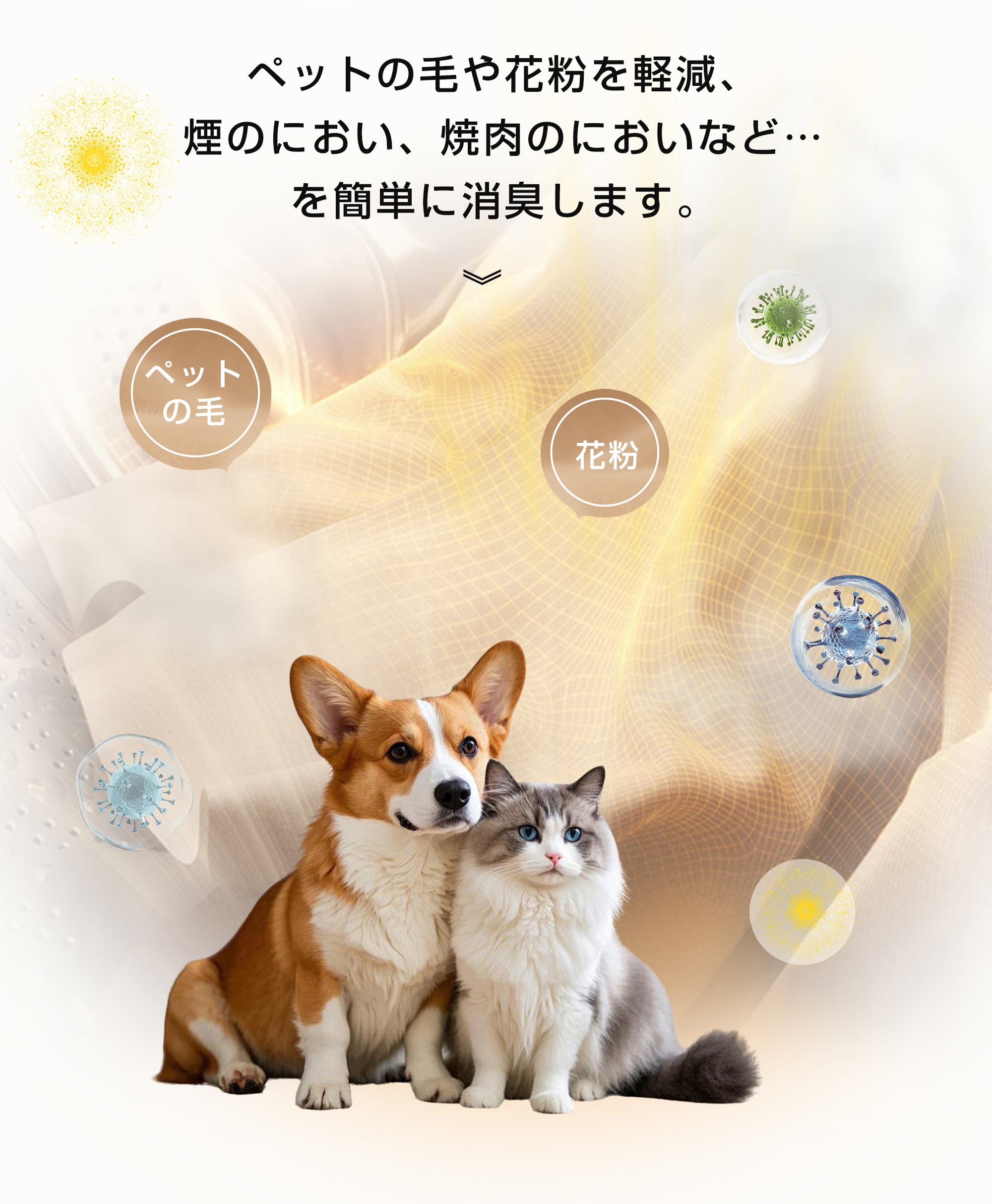 【2点購入で150OFF】『今だけ!クーポンご利用激安』【目玉新作】ホワイト 衣類乾燥機 8kg 自動モード 乾燥機 8キロ 衣類 大型 ドラム 家庭用 プログラムノブ操作 タイマー 高温除菌 梅雨対 【2点購入で150OFF】『今だけ!クーポンご利用激安』【目玉新作】ホワイト 衣類乾燥機 8kg 自動モード 乾燥機 8キロ 衣類 大型 ドラム 家庭用 プログラムノブ操作 タイマー 高温除菌 梅雨対