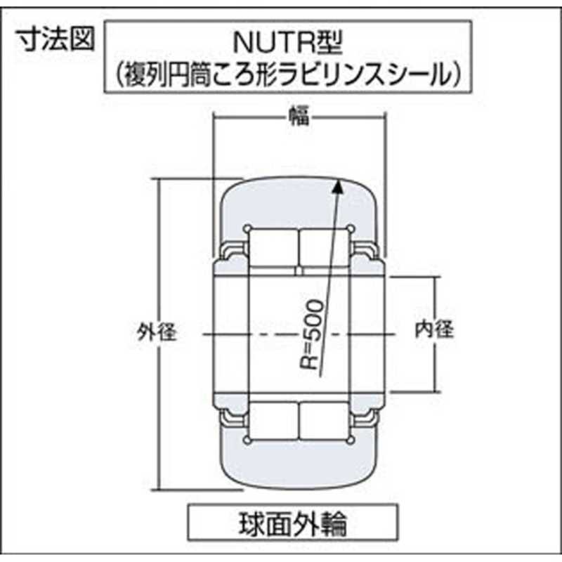 NTN　F ニードルベアリング　NUTR305