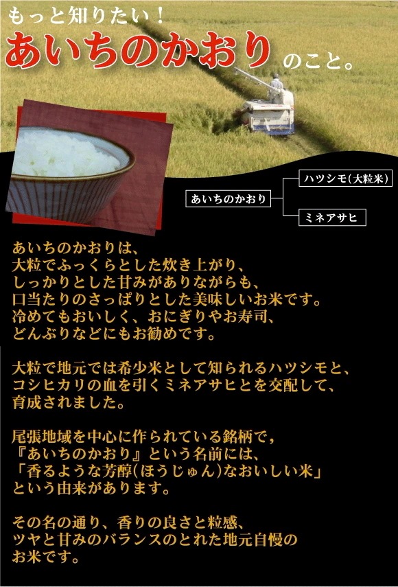 【精米時期訳アリ】【令和6年産】 白米 愛知県産 あいちのかおり 20kg(5kg×4)