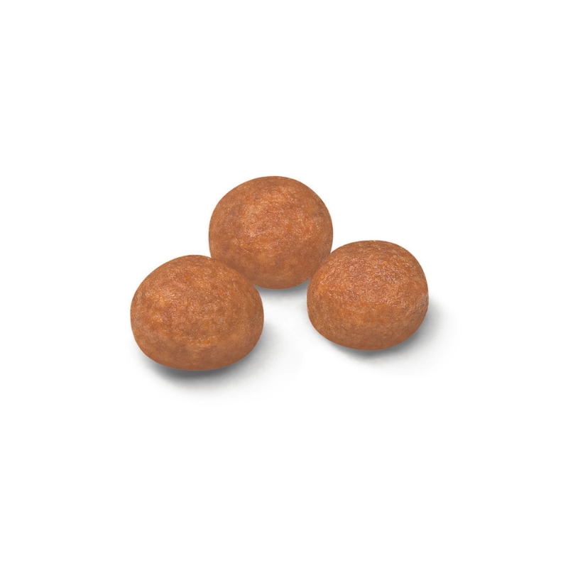 【エクストラスモール アダルト 　3kg】 ロイヤルカナン