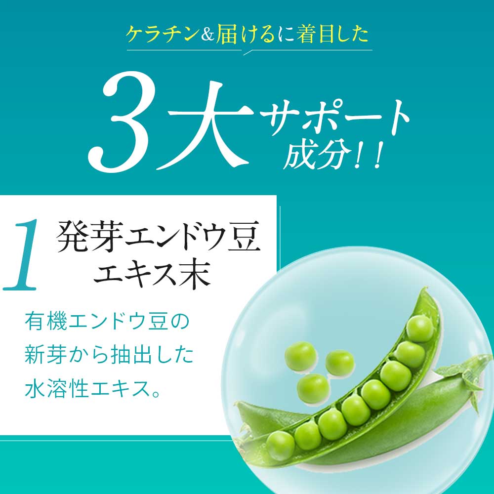 ウィンクルン（6個セット約6ヶ月分）ポリアミン　まつ毛