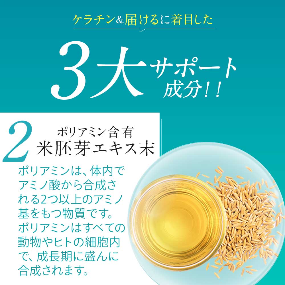 ウィンクルン（6個セット約6ヶ月分）ポリアミン　まつ毛