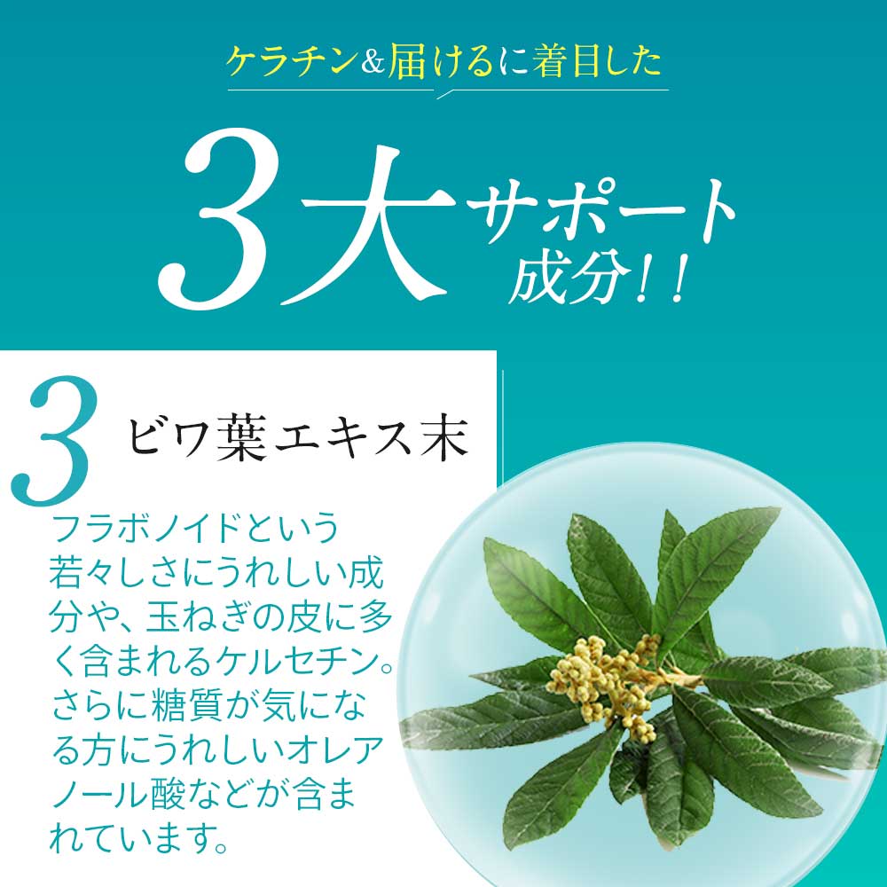 ウィンクルン（6個セット約6ヶ月分）ポリアミン　まつ毛