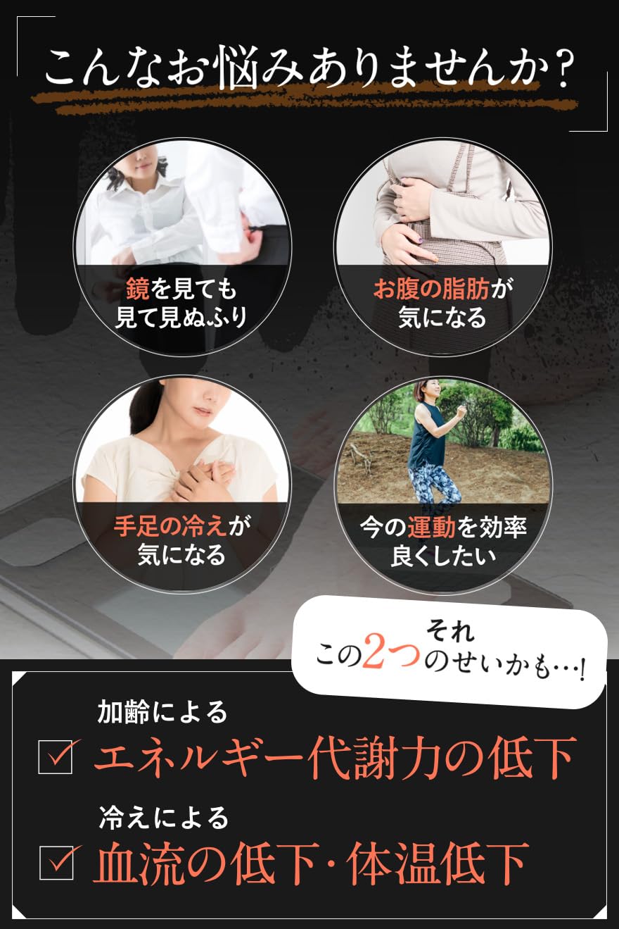 スリリンファイア SLILIN F (3袋)[3ヶ月分] 温活 脂肪燃焼 皮下脂肪 ブラックジンジャー サプリ エラグ酸 基礎代謝 サポート 生姜 日本製 国産 減らす サプリメント 燃焼系