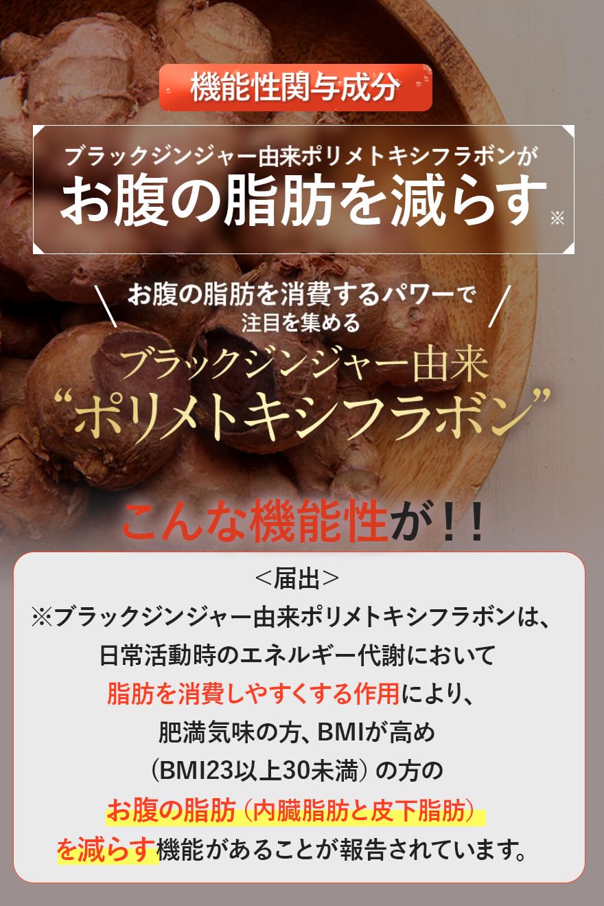 スリリンファイア SLILIN F (3袋)[3ヶ月分] 温活 脂肪燃焼 皮下脂肪 ブラックジンジャー サプリ エラグ酸 基礎代謝 サポート 生姜 日本製 国産 減らす サプリメント 燃焼系