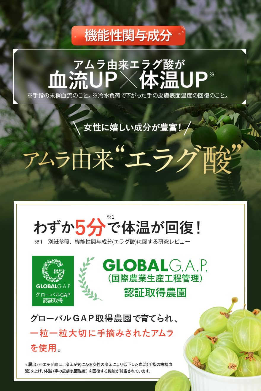 スリリンファイア SLILIN F (3袋)[3ヶ月分] 温活 脂肪燃焼 皮下脂肪 ブラックジンジャー サプリ エラグ酸 基礎代謝 サポート 生姜 日本製 国産 減らす サプリメント 燃焼系