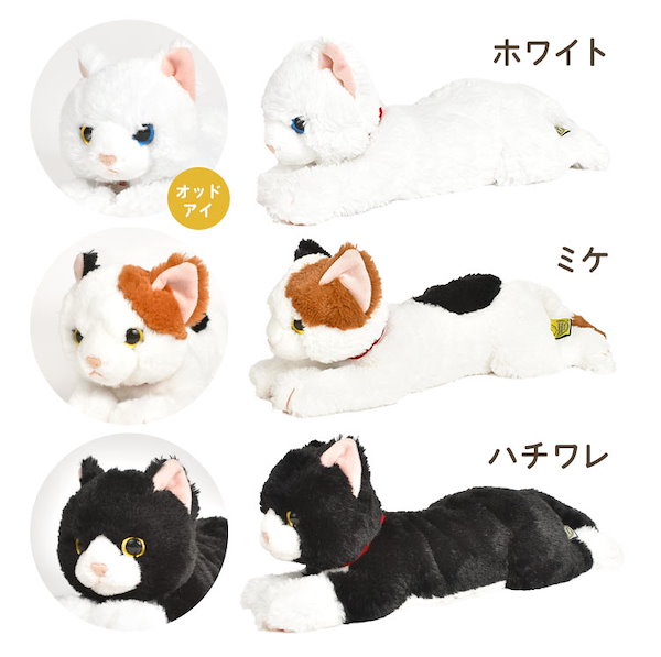 Qoo10] ぬいぐるみ 猫 リアル ひざねこ ネコ