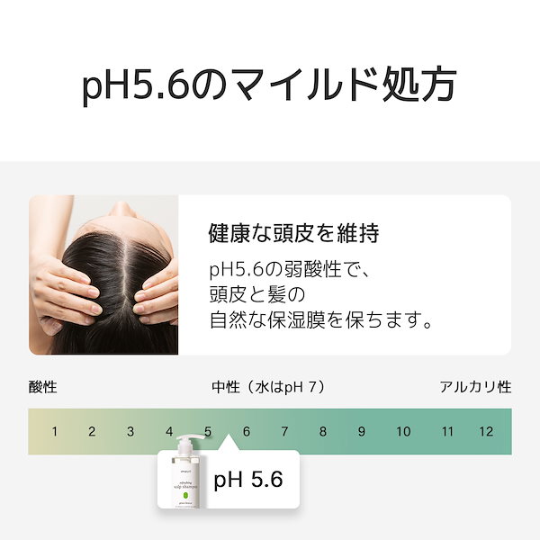 Qoo10] SimplyO リフレッシングスカルプシャンプー 500