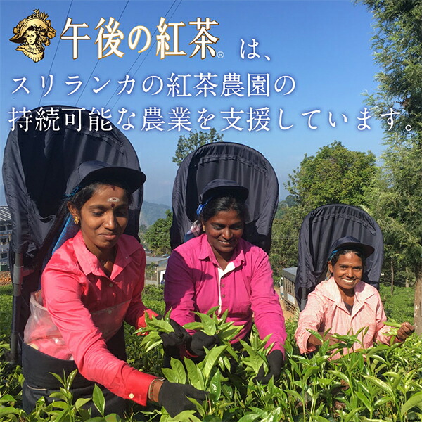 紅茶【本州のみ 送料無料】キリン 午後の紅茶 おいしい無糖 香るレモン 500ml×2ケース/48本(048)『GCC』 紅茶【本州のみ 送料無料】キリン 午後の紅茶 おいしい無糖 香るレモン 500ml×2ケース/48本(048)『GCC』