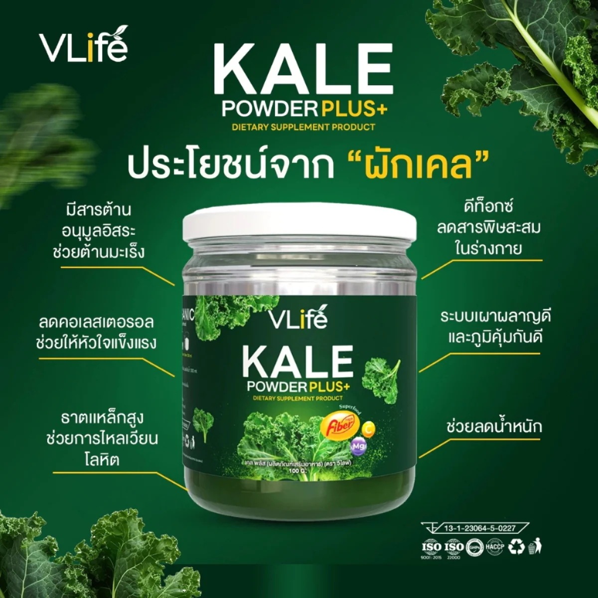 VLIFE KALE POWDER PLUS 1 Bottle/100 g. X2 Bottles VLIFE KALE POWDER PLUS 1 Bottle/100 g. X2 Bottles