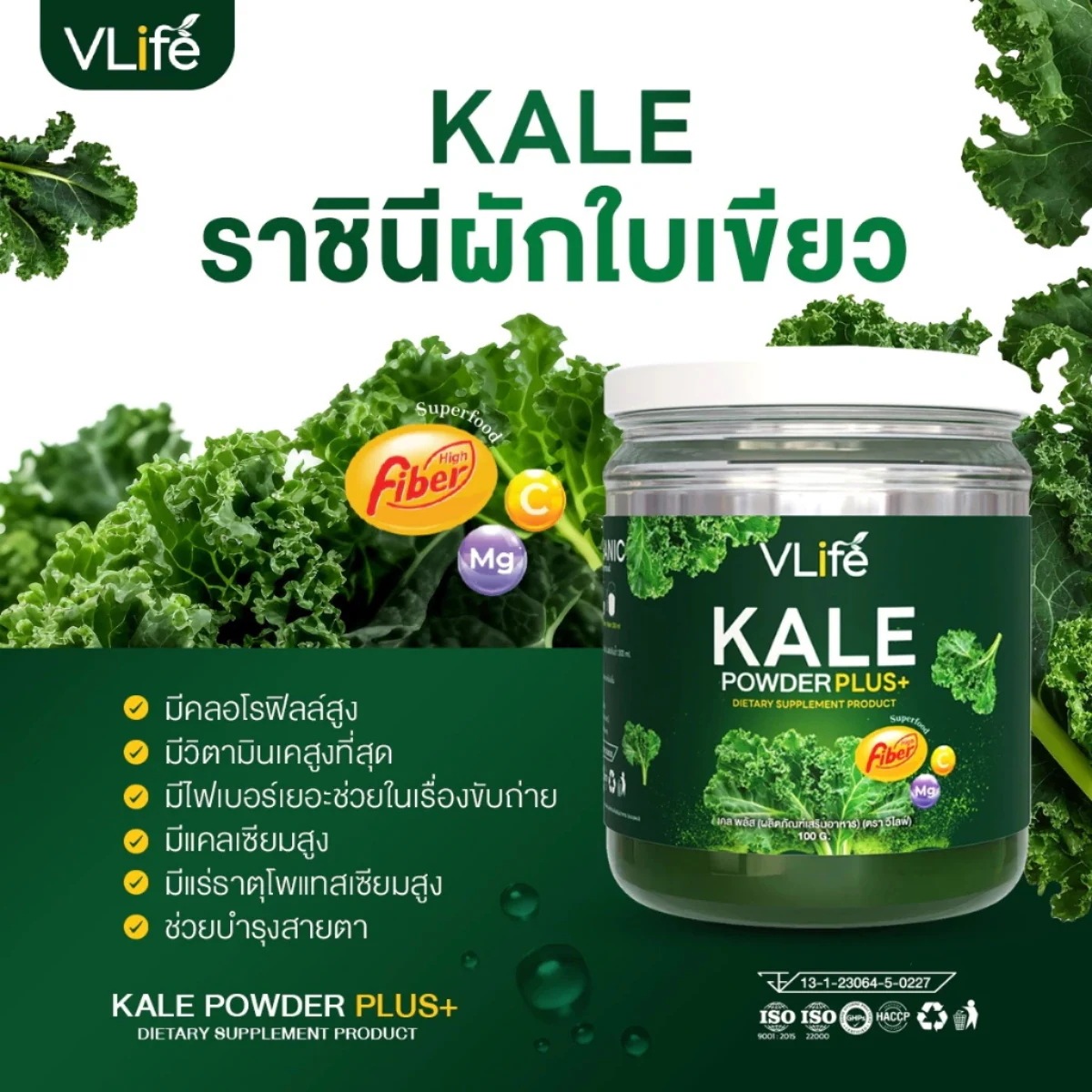 VLIFE KALE POWDER PLUS 1 Bottle/100 g. X2 Bottles VLIFE KALE POWDER PLUS 1 Bottle/100 g. X2 Bottles
