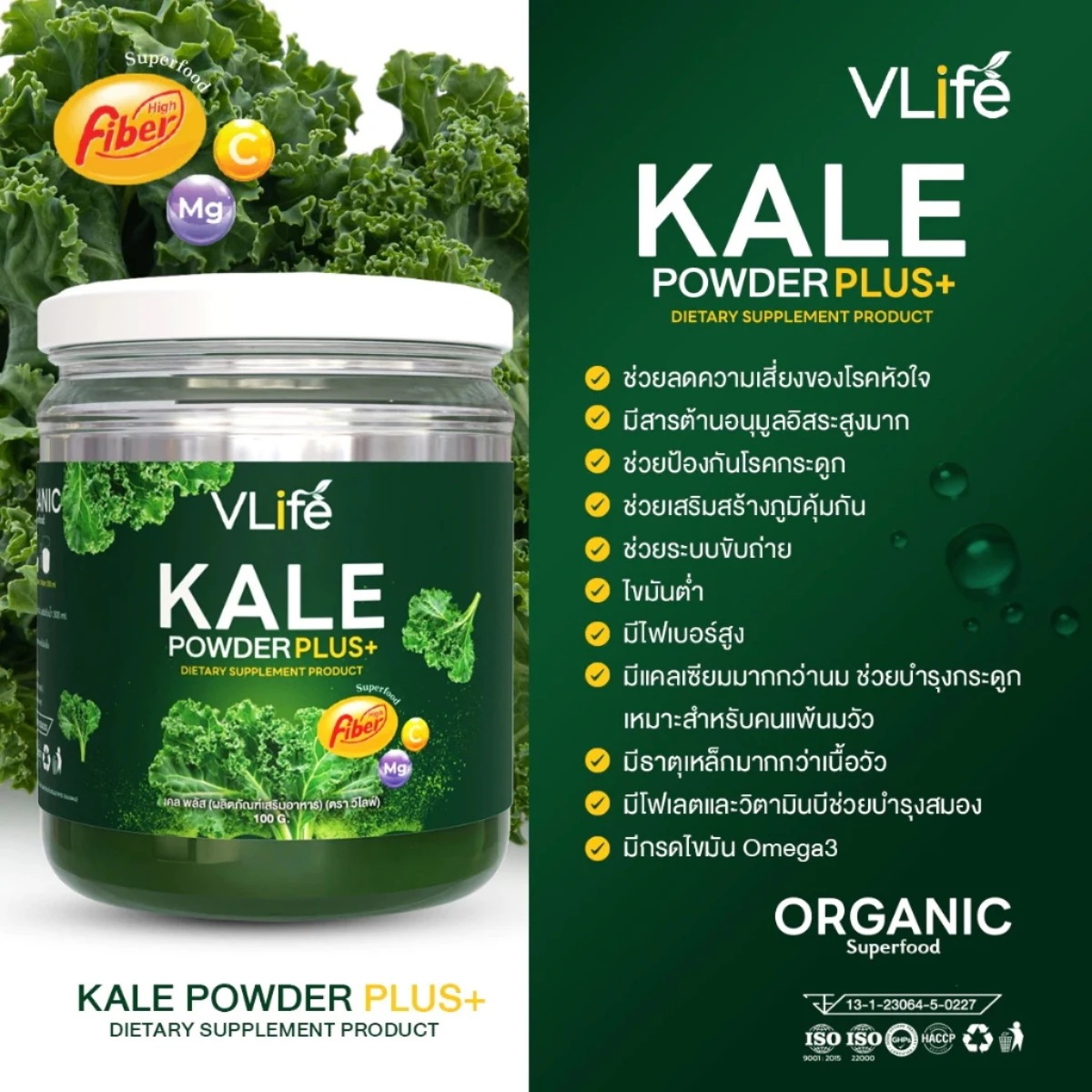 VLIFE KALE POWDER PLUS 1 Bottle/100 g. X2 Bottles VLIFE KALE POWDER PLUS 1 Bottle/100 g. X2 Bottles