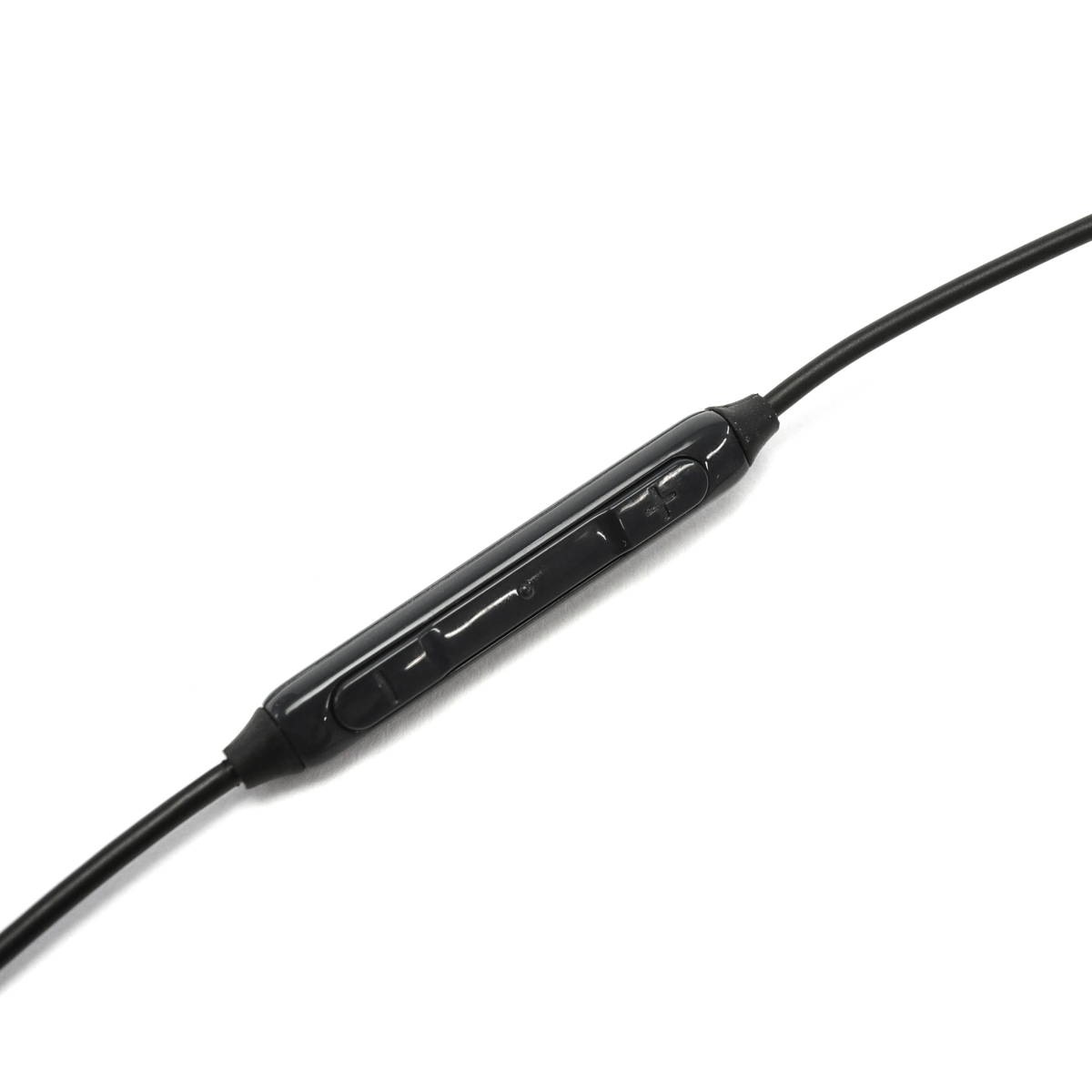 メール便 1年保証 碧 Light ぐんまちゃん Version with Microphone メール便 1年保証 碧 Light ぐんまちゃん Version with Microphone