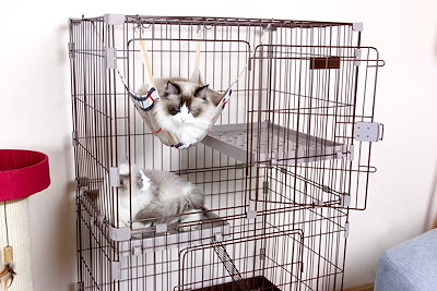 好評人気 猫 ケージ キャットケージ 2段 猫 ケ : 寝具・ベッド・マットレス 国内全数検品