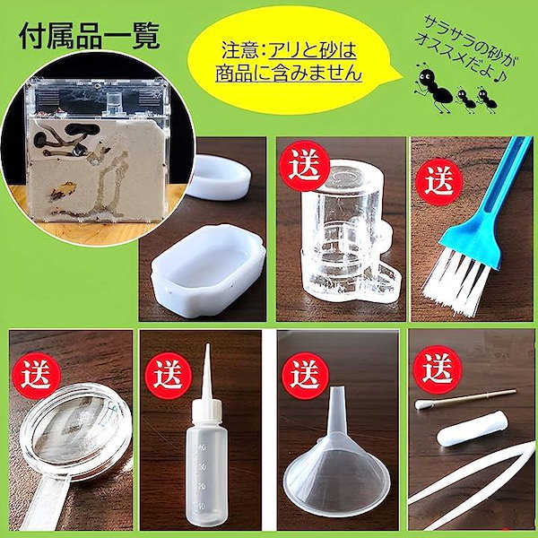 お譲りします / 蟻（バラ売り可） アリの巣 観察 キット 砂は別売 蟻 アリ飼育キット 飼育ケース