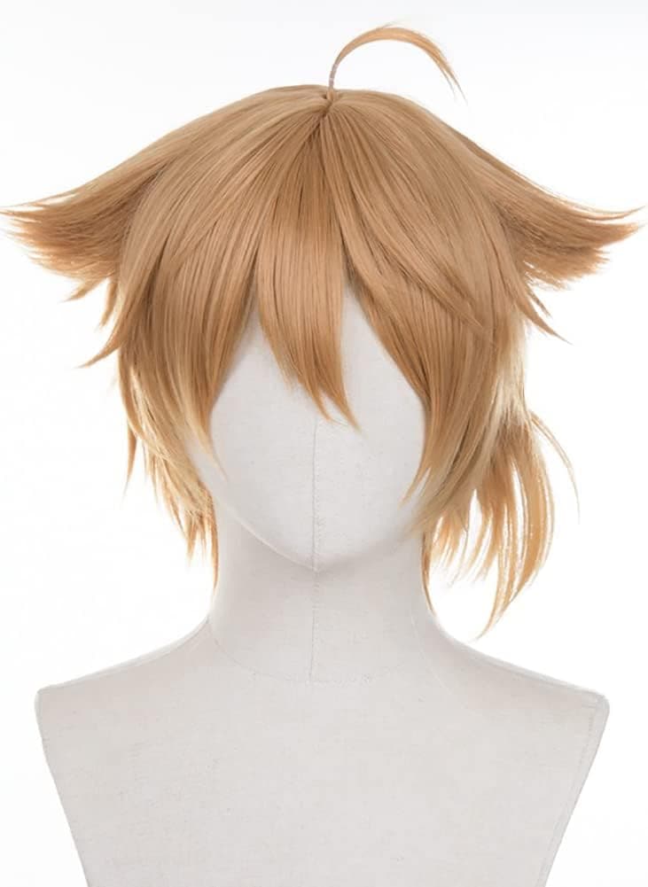 バーチャルYouTuber VTuber 伏見ガクふしみがくコスプレ衣装 コスチューム ハロウィン プレゼント 学園祭 文化祭 学園祭 仮装 演出服 コスプレ服 バーチャルYouTuber VTuber 伏見ガクふしみがくコスプレ衣装 コスチューム ハロウィン プレゼント 学園祭 文化祭 学園祭 仮装 演出服 コスプレ服