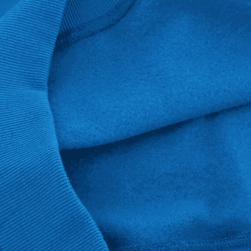 ROYALLIFE RLPH3001 OG刺繍ロゴ起毛フードティー - ブルー