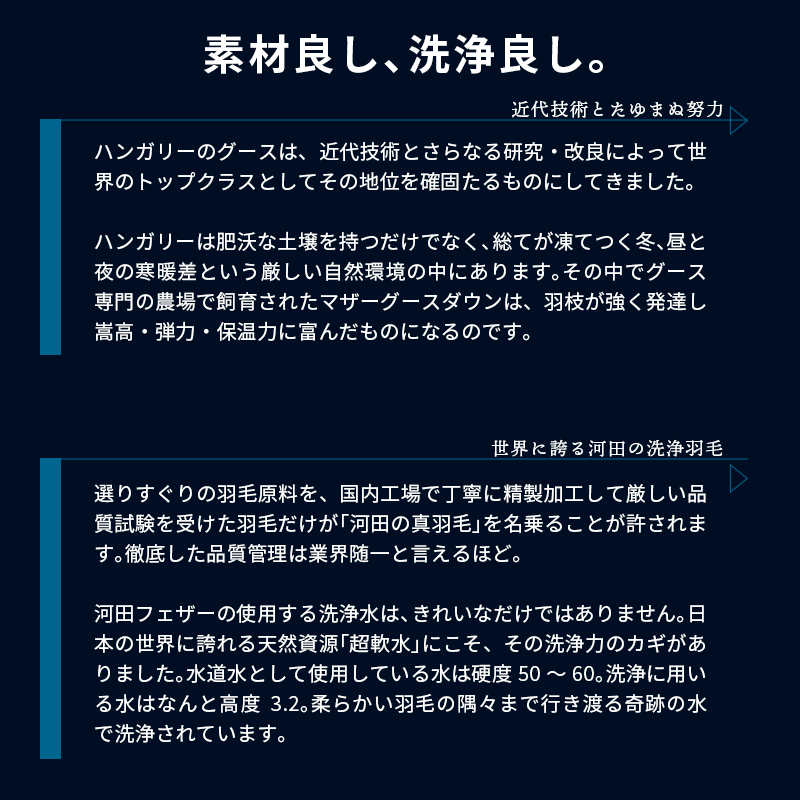 送料無料羽毛布団 Srataセラータキング 河田フェザー ダウンパワー450dp以上 二層キルト ハンガリー産 マザーグース ダウン95％ 抗菌防臭加工 国産3KA-42508IV mdprevattcaulkingandwaterproofing.com