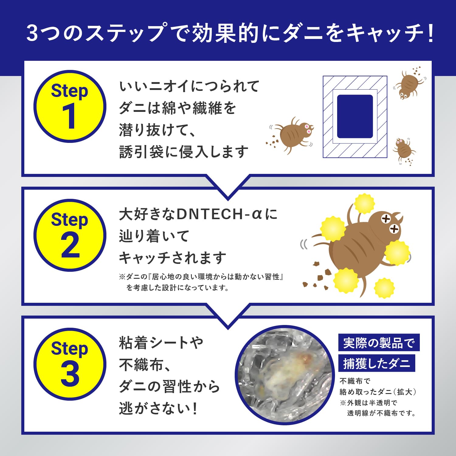 ダニ捕りラボ ダニ だにとりシート 10枚入り ダニシート ダニトリシート 犬用ノミ・ダニ取り器具 ダニ取りシート ダニ 駆除