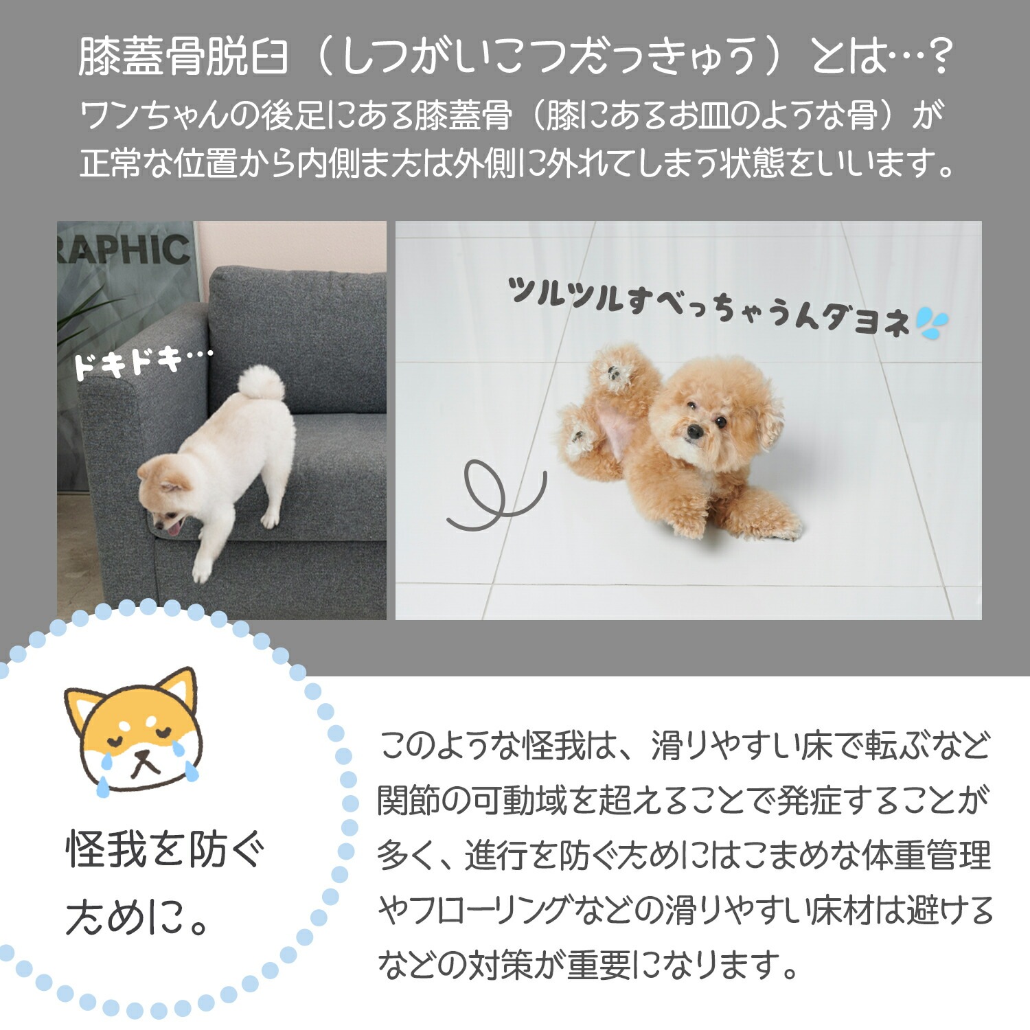 【同色3枚セット】ペット マット 防水 滑り止め 抗菌 ペットマット Dogzari ドッグマット 怪我防止 低反発 フロアマット 防水 犬 猫 おしゃれ ecf01-3set 犬 滑り止 【同色3枚セット】ペット マット 防水 滑り止め 抗菌 ペットマット Dogzari ドッグマット 怪我防止 低反発 フロアマット 防水 犬 猫 おしゃれ ecf01-3set 犬 滑り止