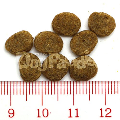 Supergold フィッシュ&ポテト プラスライト 肥満・関節の健康に配慮 2.4kg Supergold フィッシュ&ポテト プラスライト 肥満・関節の健康に配慮 2.4kg