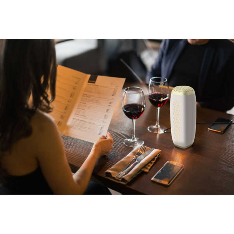 フジコー 空気清浄機 ポータブル AkariAir アカリア 空気清浄:2畳まで ウォームホワイト MC-P101-N/WT フジコー 空気清浄機 ポータブル AkariAir アカリア 空気清浄:2畳まで ウォームホワイト MC-P101-N/WT