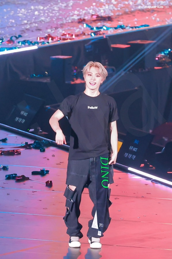 Qoo10] [SEVENTEENディノ着用] Pig