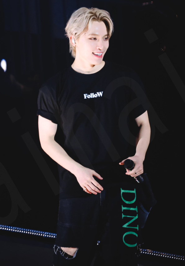 SEVENTEEN ディノ ユニフォーム Qoo10] [SEVENTEENディノ着用] Pig